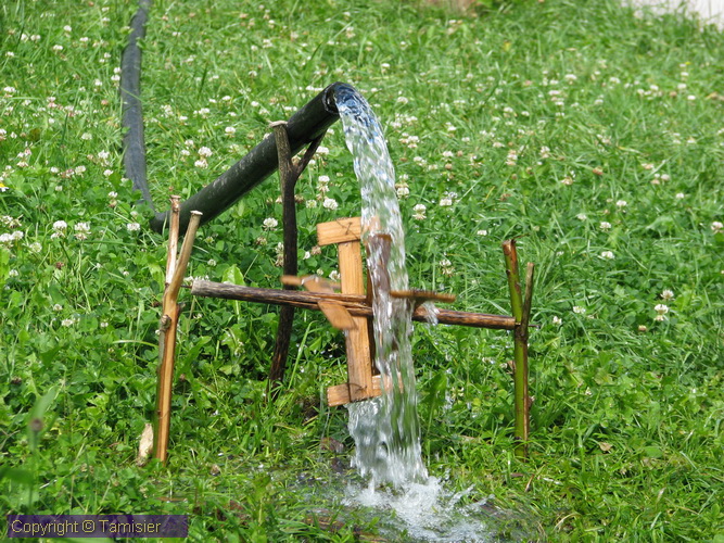 2008-08-26 12-42-26.JPG - 2880-RO>Arieseni--Pensiune Sofy